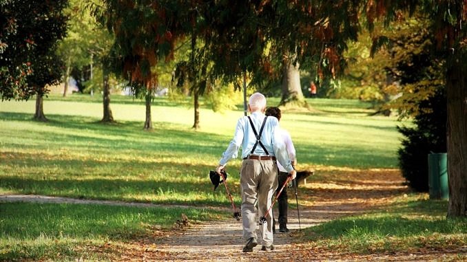Nordic walking - starsi ludzie maszerują z kijkami po parku