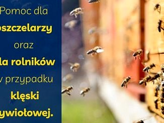na tle pszczół zlatujących do ula na niebieskim tle informacja: pomoc dla pszczelarzy oraz rolników w przypadku klęski żywiołowej.