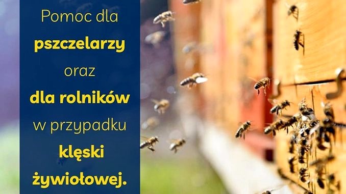 na tle pszczół zlatujących do ula na niebieskim tle informacja: pomoc dla pszczelarzy oraz rolników w przypadku klęski żywiołowej.