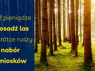 Na tle lasu prześwietlonego słońcem na niebieskim paski żółty napis : Weź pieniądze i posadź las – nabór wniosków