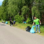 Ludzie sprzątający teren przy drodze i fragment lasu