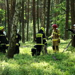 Strażacy rozciągaja węże w lesie
