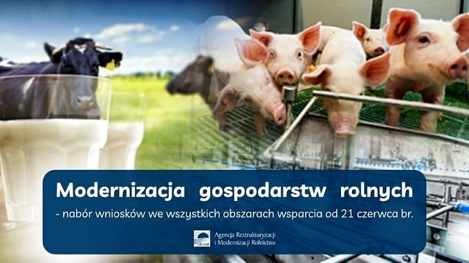 Plakat z krowami, prosiakami i szklankami mleka; napis na niebieskim tle:modernizacja gospodarstw rolnych