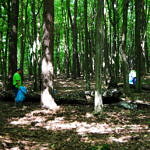 Grupa ludzi (część w zielonych koszulkach Leszy) sprząta las