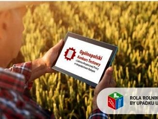Krus - ogólnopolski program testowy rolnik na tle zboż z tabletem w dłoniach