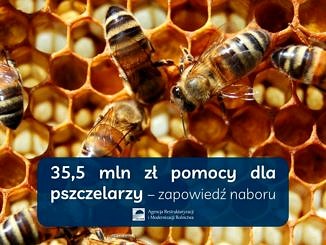 Pszczoły na plastrze; napis 35,5 mln zł pomocy dla pszczelarzy
