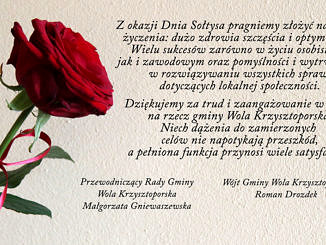 Czerwona róża i życzenia dla sołtysów jak w treści