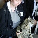 Uczniowie podczas zabiegu weterynaryjnego z kotem