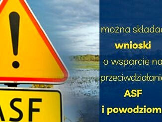 plakat -na tle terenu zalewowego żółty trójkąt ostrzegawczy i tabliczka ASF