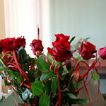 kwiaty czerwone róże