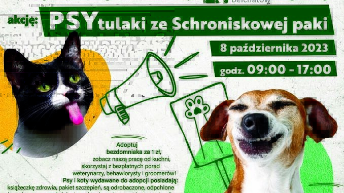 plakat akcji PSYtulaki z psem i kotem