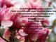 Życzenia na Dzień Kobiet na tle magnolii różowych